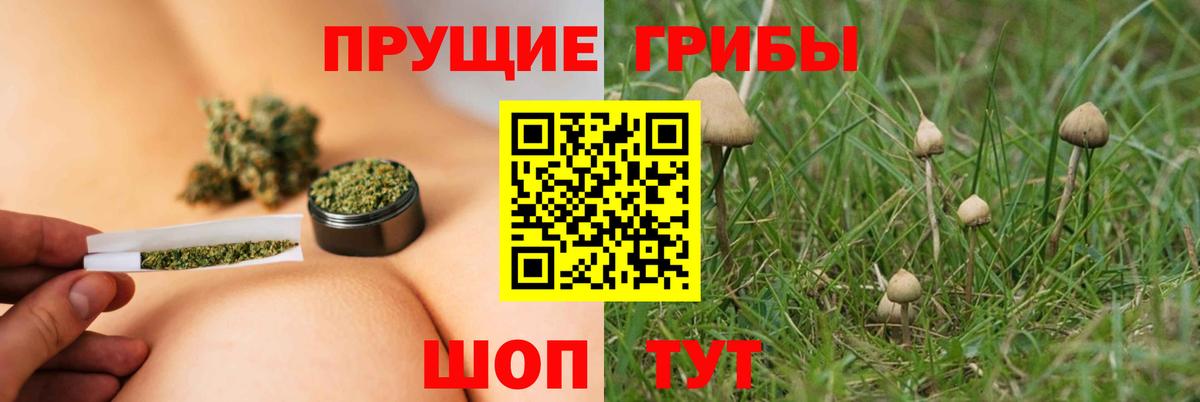 Псилоцибиновые грибы MAGIC MUSHROOMS  Галлюциногенные грибы ЛСД  Вход с VPN  Гудермес 
